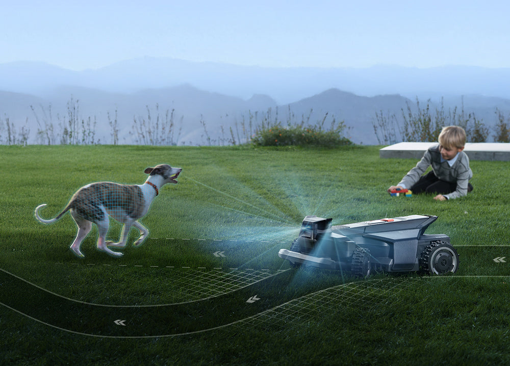 Navimow i110E robot lawn mower avoids dog while boy plays.